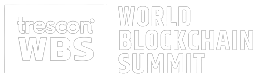 wbs logo